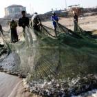 المنخفض يُنعش صيد الأسماك بغزة ويُخفض الأسعار