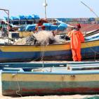 جولة في ميناء غزة البحري