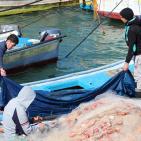 جولة في ميناء غزة البحري