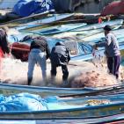 جولة في ميناء غزة البحري