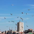 جولة في ميناء غزة البحري