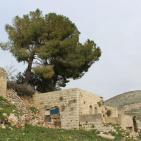 بالصور: قرية بورين قضاء مدينة نابلس اليوم