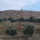 عذرا بئر يوسف ..........فالمارون هذه المره سرقوا منك تاريخا