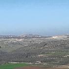 سهول مرج ابن عامر تكتسيى بالخضرة - عرابه جنين