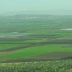 سهول مرج ابن عامر تكتسيى بالخضرة - عرابه جنين