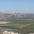 سهول مرج ابن عامر تكتسيى بالخضرة - عرابه جنين