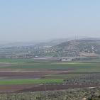 سهول مرج ابن عامر تكتسيى بالخضرة - عرابه جنين