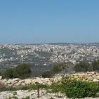 سهول مرج ابن عامر تكتسيى بالخضرة - عرابه جنين