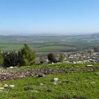 سهول مرج ابن عامر تكتسيى بالخضرة - عرابه جنين