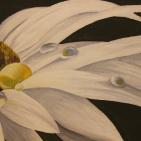 الخليل: معرض دفء الندى للفنانة ندى أبو هيكل