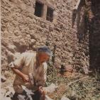 معرض الذاكرة الفلسطينية في الخليل