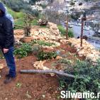 صور:قوات الاحتلال تعتدي على شابين وتهدم ملعبا وغرفة في سلوان