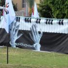 بالصور.. إطلاق 