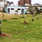 في يوم الأرض.. زراعة أشجار بأسماء الشهداء الصحفيين وفاءً لهم