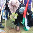 في يوم الأرض.. زراعة أشجار بأسماء الشهداء الصحفيين وفاءً لهم