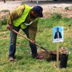 في يوم الأرض.. زراعة أشجار بأسماء الشهداء الصحفيين وفاءً لهم