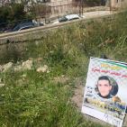 صور: 47 شتلة زيتون بأسماء شهداء القدس