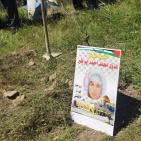 صور: 47 شتلة زيتون بأسماء شهداء القدس