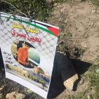 صور: 47 شتلة زيتون بأسماء شهداء القدس