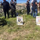 صور: 47 شتلة زيتون بأسماء شهداء القدس