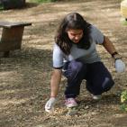 طلبة من مدرسة بكالوريا الرواد في نابلس يقومون بأعمال تنظيف لمنتزه جمال عبد الناصر