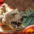 المعرض العلمي في مدرسة ذكور الشرعية بالخليل