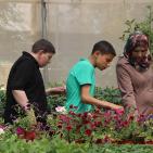 ذوو الإعاقة من مستهلكين لمنتجين