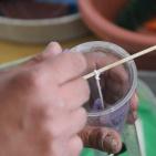 ذوو الإعاقة من مستهلكين لمنتجين