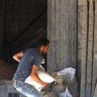 في غزة.. عامل البناء بدرجة الدكتوراة !