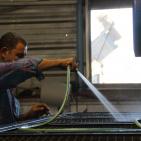 مراحل عصر الزيتون في الخليل