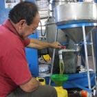 مراحل عصر الزيتون في الخليل