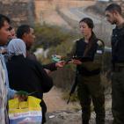 معصرة الجدار