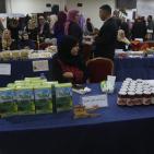 افتتاح معرض