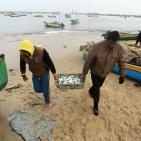 غزة: زيارة شتوية لميناء يتحدى الموج وأكثر
