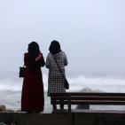 غزة: زيارة شتوية لميناء يتحدى الموج وأكثر