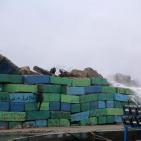 غزة: زيارة شتوية لميناء يتحدى الموج وأكثر