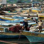 شاركونا بجولة في ميناء غزة