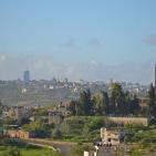 الأخضر يلون بيرزيت