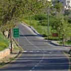 الأخضر يلون بيرزيت