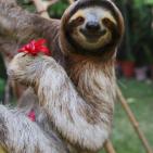 هل يوجد شخص كسول في محيطك؟ تعرف الآن