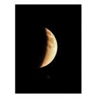 خاص | مصوّر يوثق الحياة البرية في معركة حماية البيئة والهوية