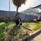 خاص | من موقدٍ بديل إلى حديقةٍ صغيرة… نصير يحوّل البتر إلى حياة في خيمة النزوح