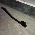 بالصور| سقوط شظايا صواريخ في بيت لحم