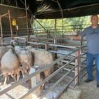 بالصور| الاتحاد الأوروبي ينفذ جولة لمشاريع دعم صمود لمزارعين في طوباس وقلقيلية