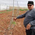 بالصور| الاتحاد الأوروبي ينفذ جولة لمشاريع دعم صمود لمزارعين في طوباس وقلقيلية