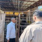 بالصور| الاتحاد الأوروبي ينفذ جولة لمشاريع دعم صمود لمزارعين في طوباس وقلقيلية