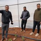 بالصور| الاتحاد الأوروبي ينفذ جولة لمشاريع دعم صمود لمزارعين في طوباس وقلقيلية