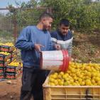 سليمية يعلن إنجاز الاعتماد الرسمي للمنتجات الفلسطينية في السوق السعودي