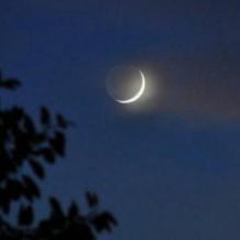 المفتي يعلن موعد 1 ذي القعدة 1447 - 2026