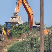 الاحتلال يقتلع أشجار زيتون ويخطر بهدم محال تجارية في عرابة